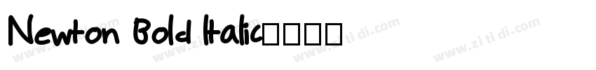 Newton Bold ltalic字体转换